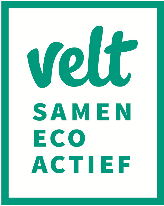 logo Velt